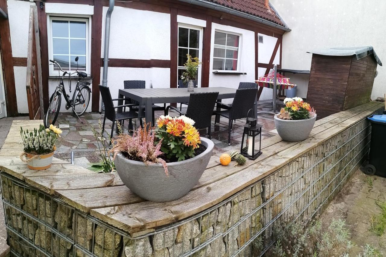 Apartment Schoene Grosse Wohnung, Terrasse, Kamin, Parkplatz, 2 Schlafzimmer Greifswald